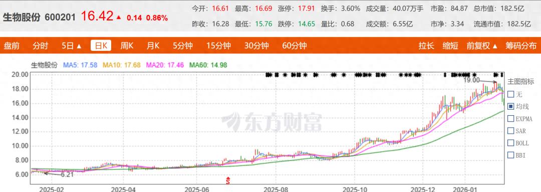 生物股份非洲猪瘟亚单位疫苗首轮临床试验结果及后续安排